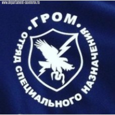 Футболка с эмблемой отряда специального назначения Гром МВД РФ